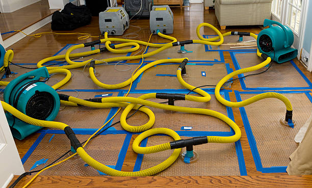 Professional Water Damage Repair technician working in Cross River, NY